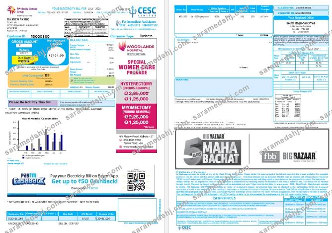 INDIA CESC LIMITED business utility bill Word and PDF